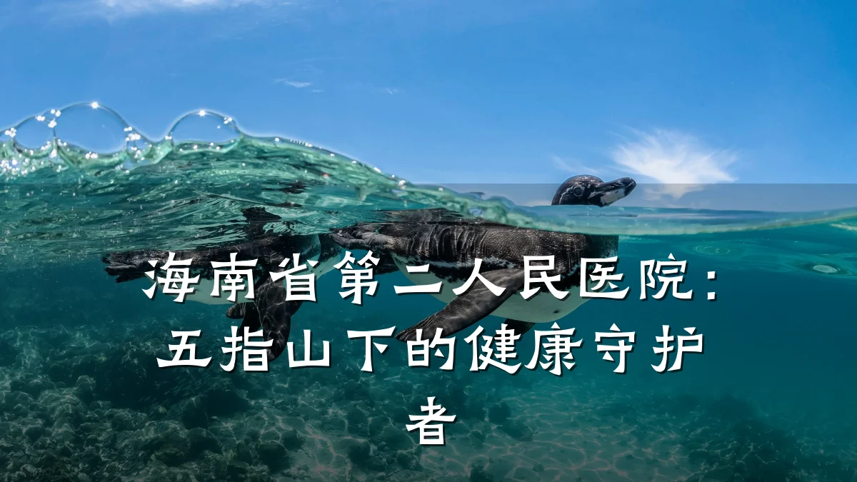 海南省第二人民医院:五指山下的健康守护者