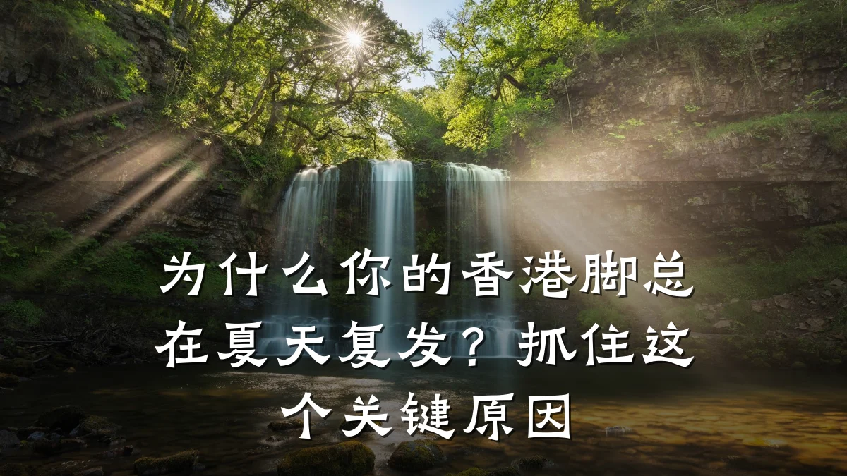 为什么你的香港脚总在夏天复发?抓住这个关键原因