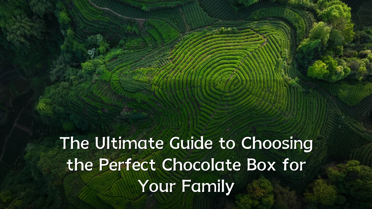 The Ultimate Guide to Choosing the Perfect Chocolate Box for Your Family