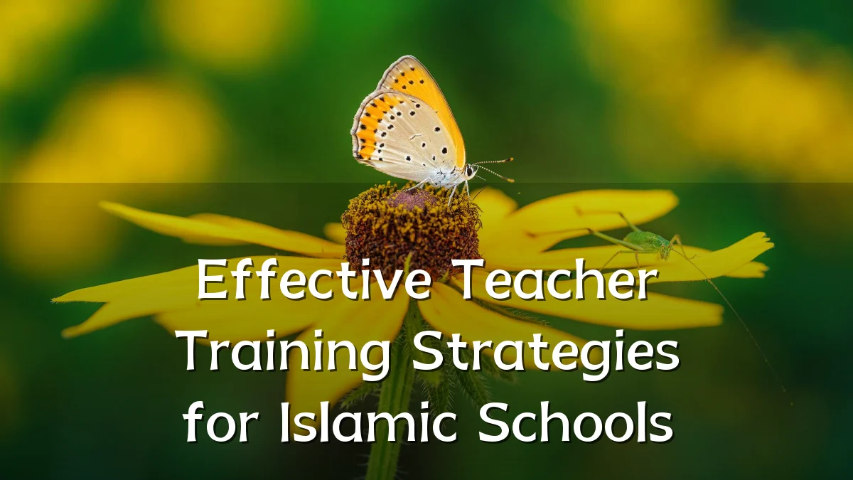 Effective Teacher Training Strategies for Islamic Schools