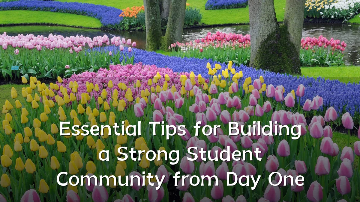 Essential Tips for Building a Strong Student Community from Day One