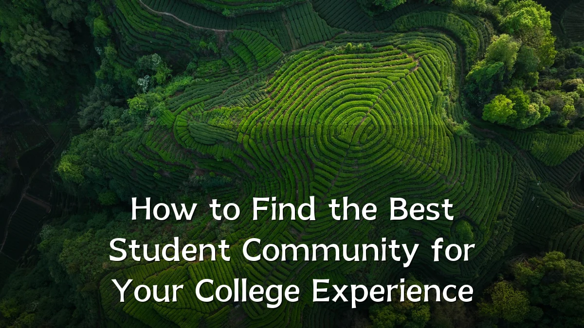 How to Find the Best Student Community for Your College Experience