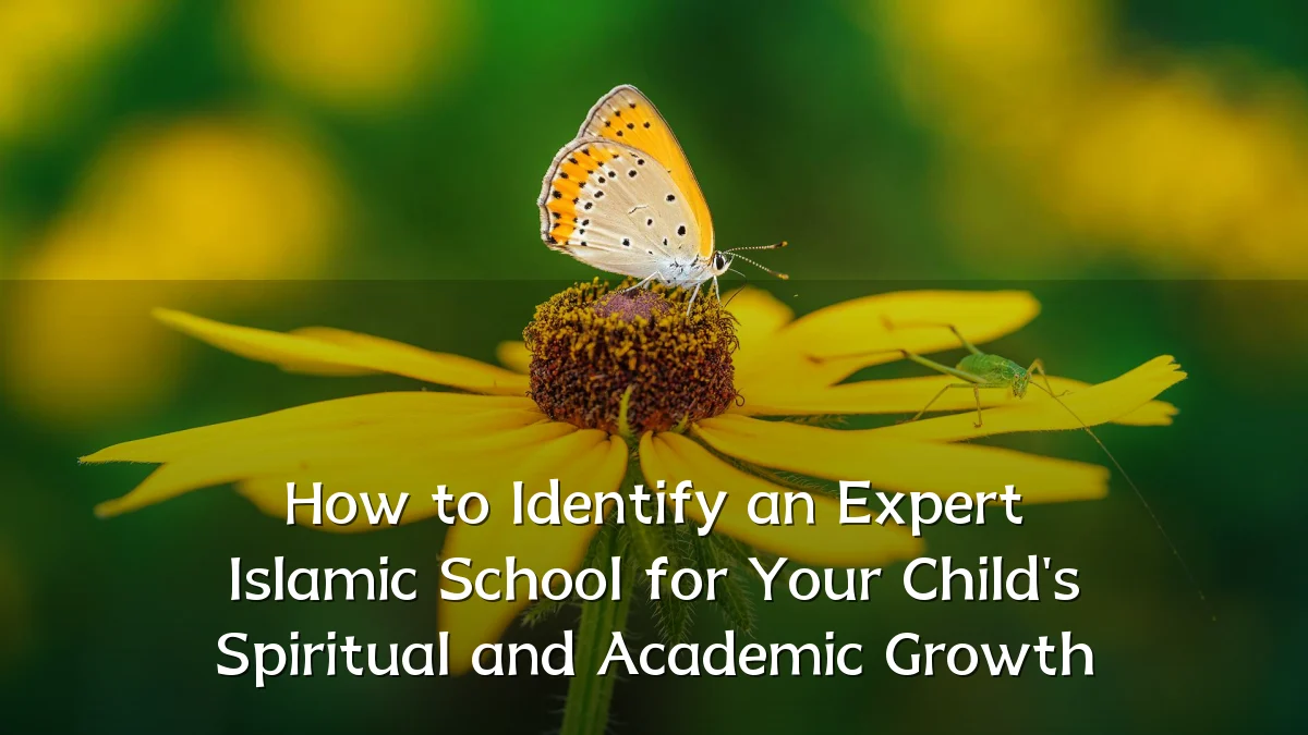 How to Identify an Expert Islamic School for Your Child's Spiritual and Academic Growth