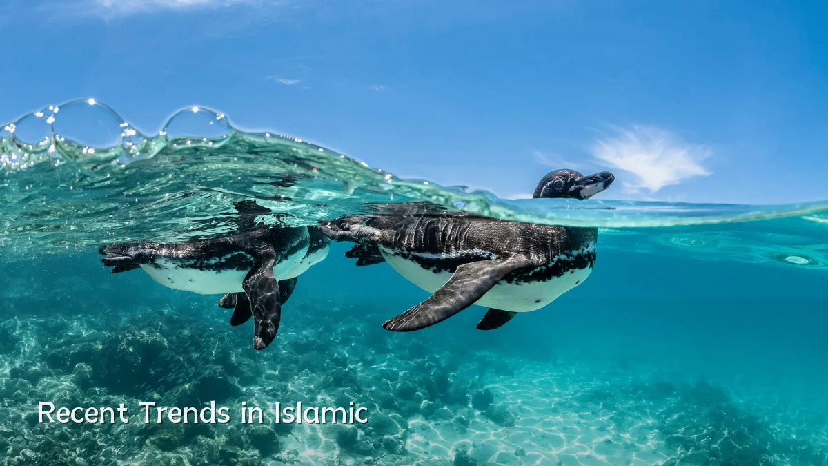 Recent Trends in Islamic