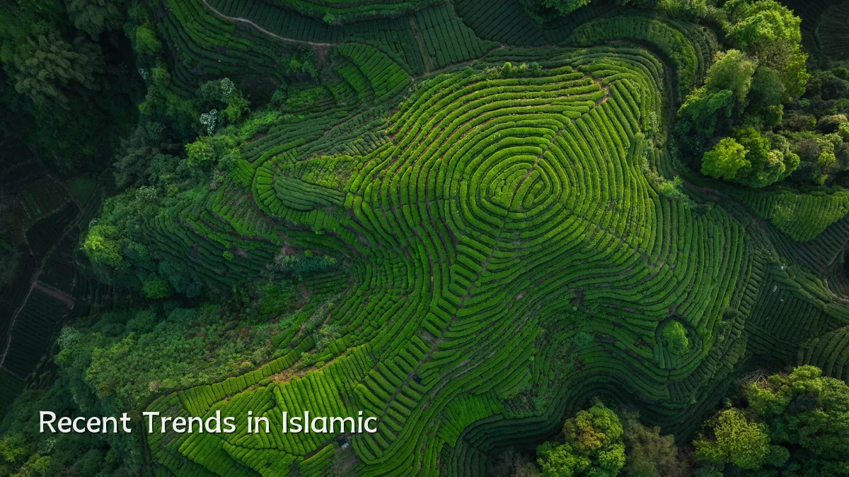 Recent Trends in Islamic