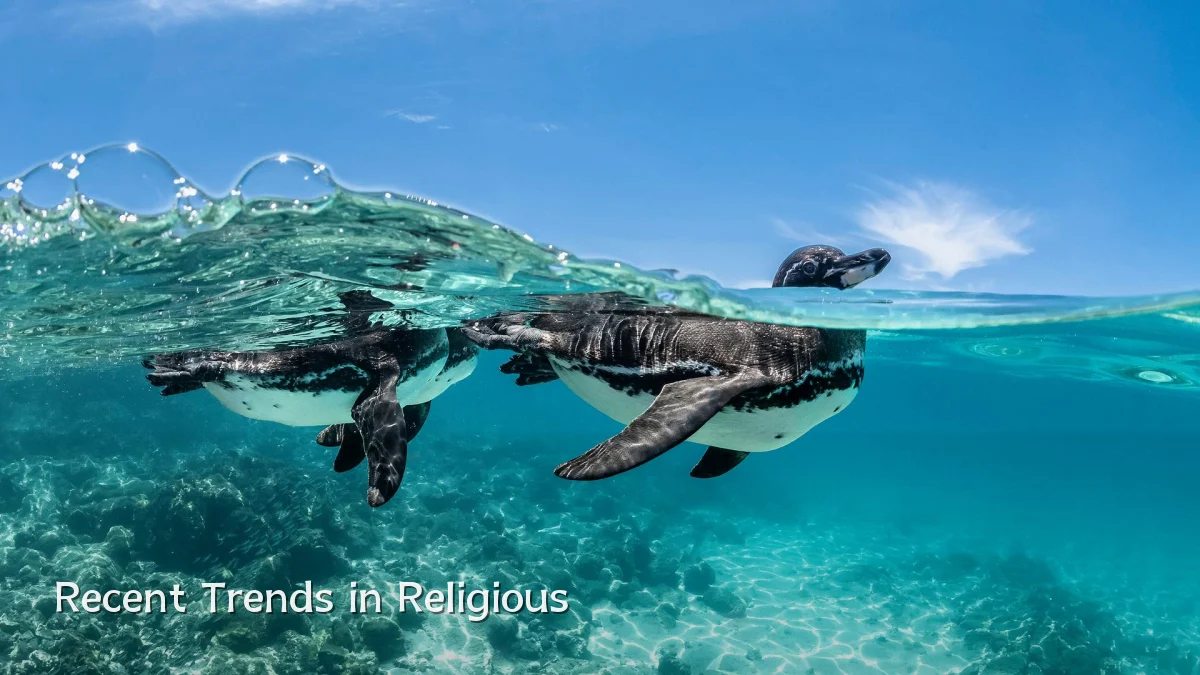 Recent Trends in Religious