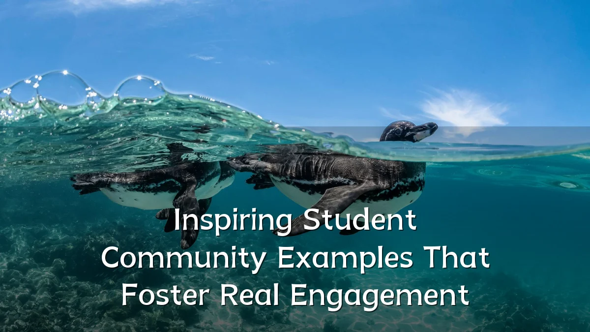 Inspiring Student Community Examples That Foster Real Engagement