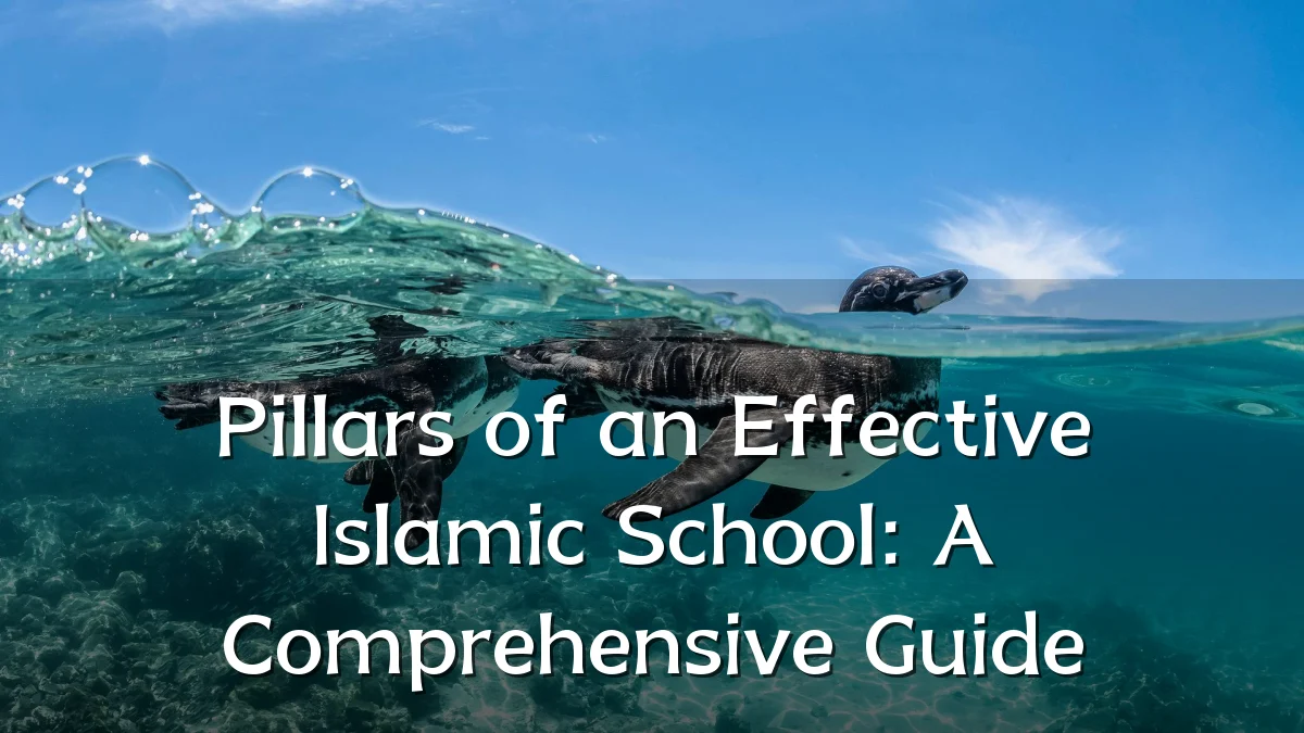 Pillars of an Effective Islamic School: A Comprehensive Guide