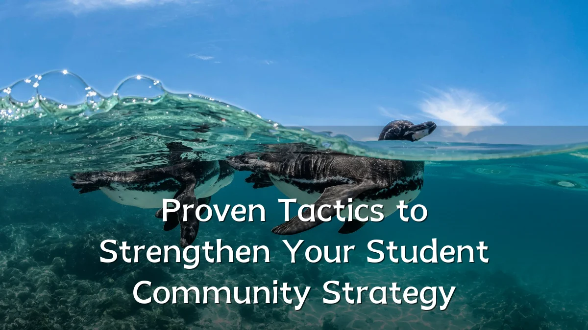 Proven Tactics to Strengthen Your Student Community Strategy