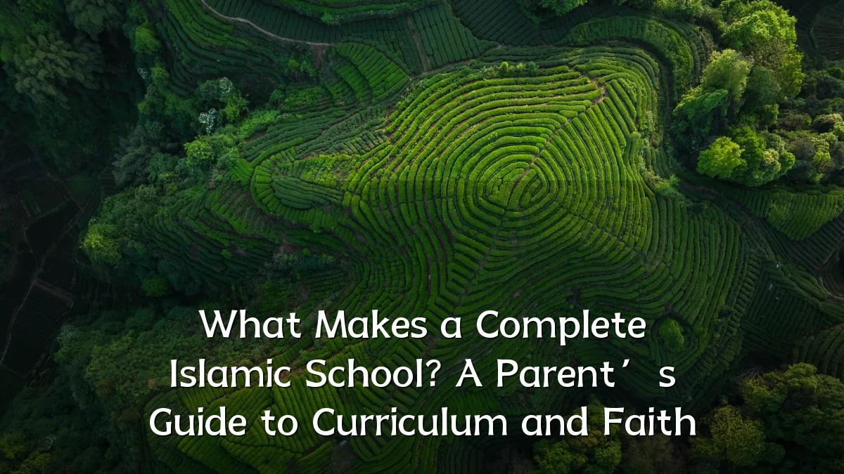 What Makes a Complete Islamic School? A Parent’s Guide to Curriculum and Faith