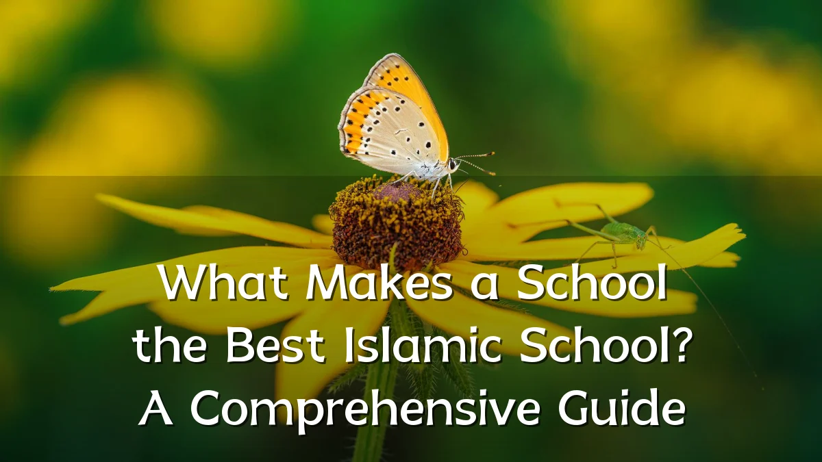 What Makes a School the Best Islamic School? A Comprehensive Guide