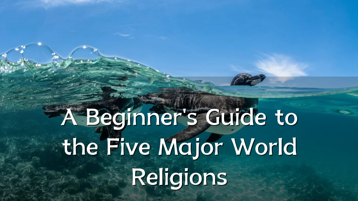 A Beginner's Guide to the Five Major World Religions