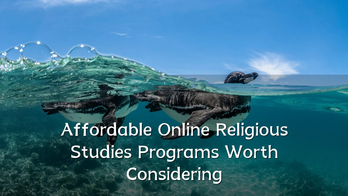 Affordable Online Religious Studies Programs Worth Considering