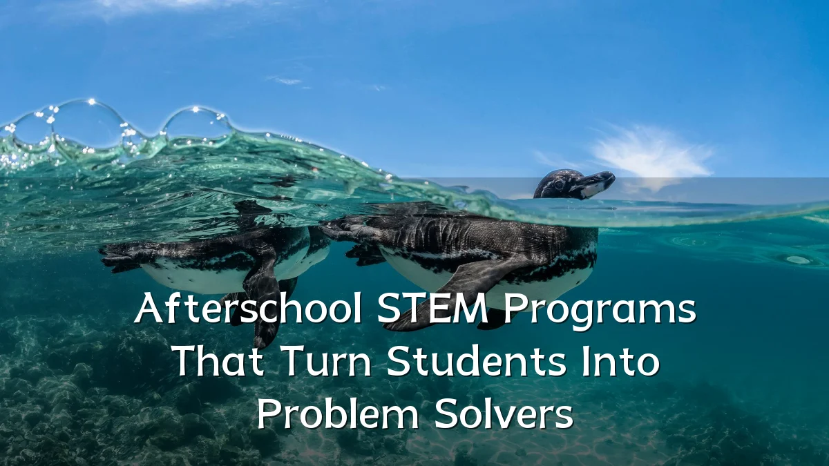 Afterschool STEM Programs That Turn Students Into Problem Solvers