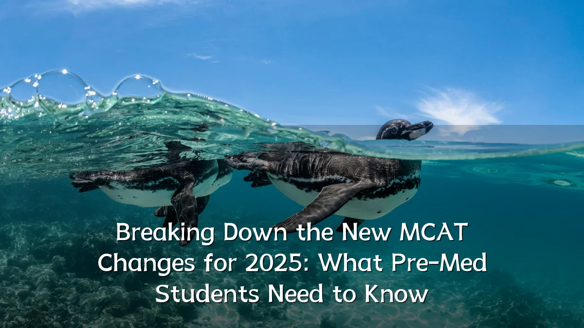 Breaking Down the New MCAT Changes for 2025: What Pre-Med Students Need to Know