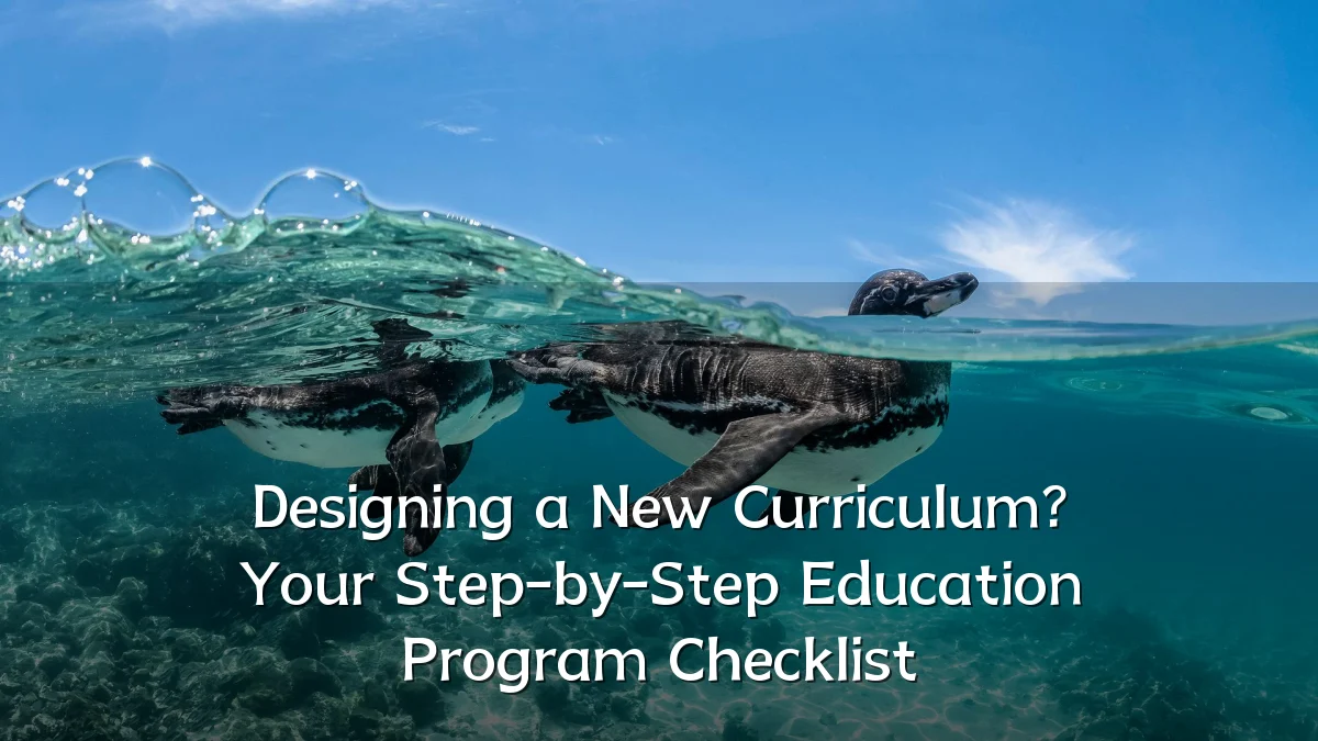 Designing a New Curriculum? Your Step-by-Step Education Program Checklist