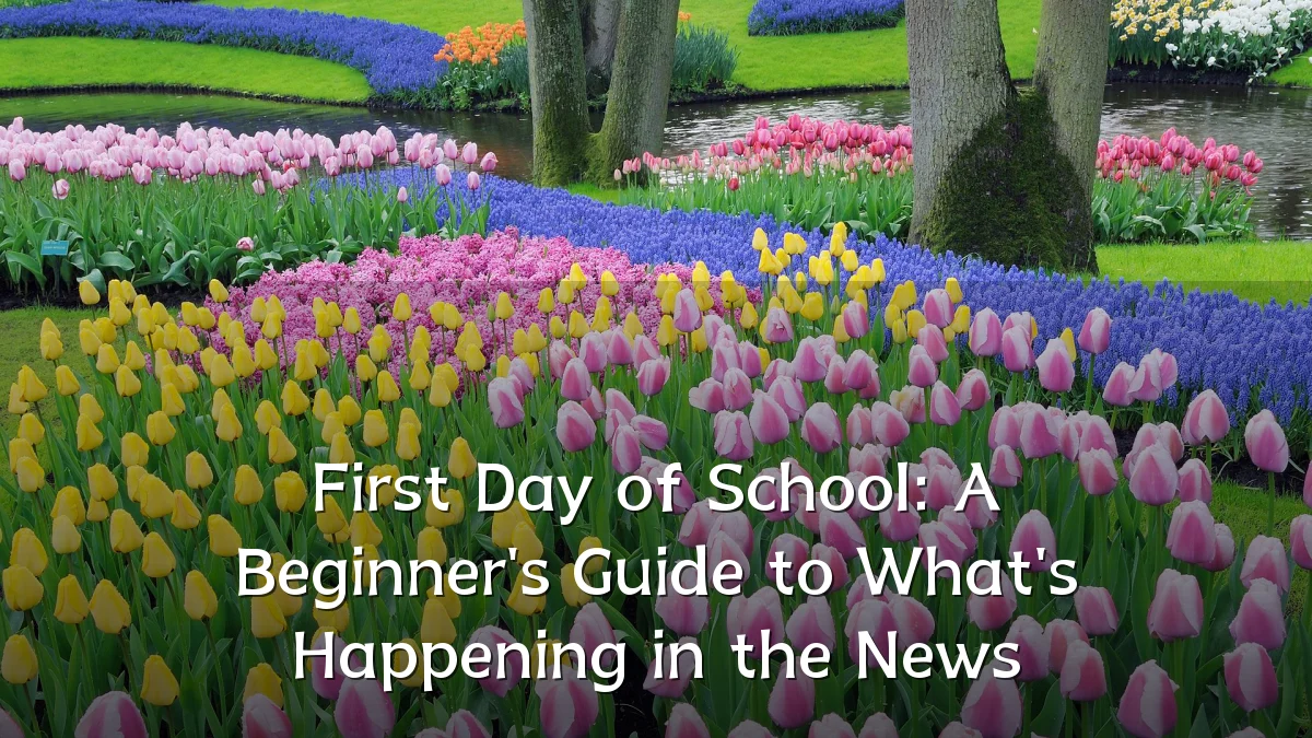First Day of School: A Beginner's Guide to What's Happening in the News