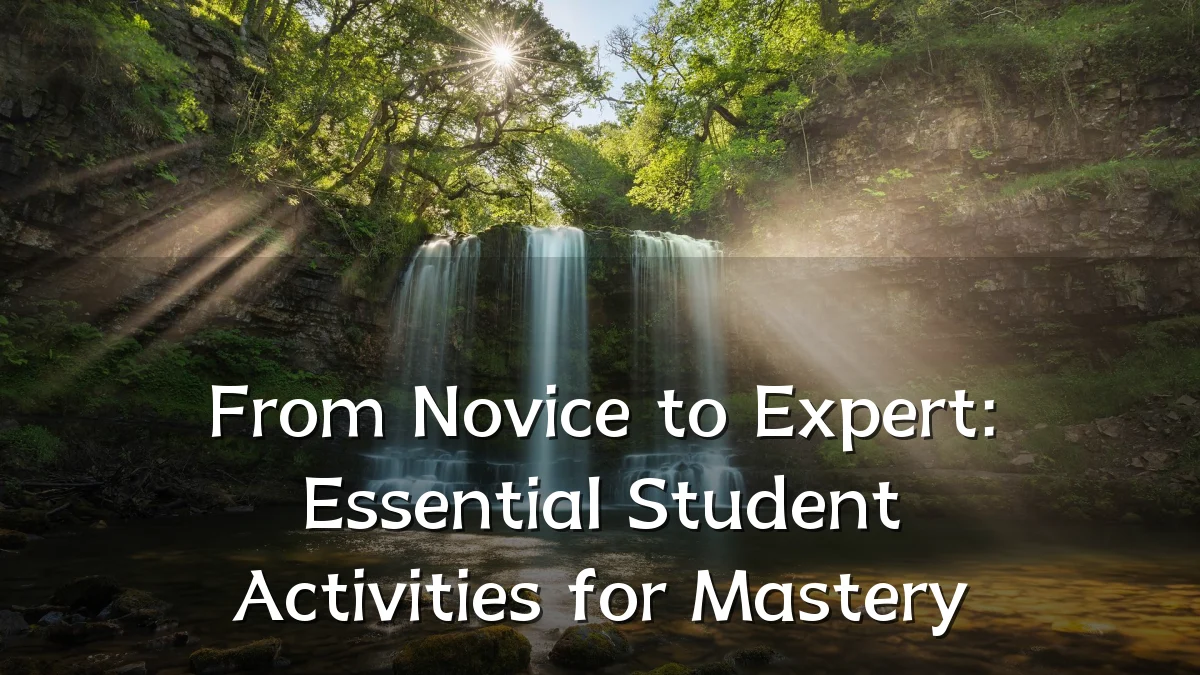From Novice to Expert: Essential Student Activities for Mastery