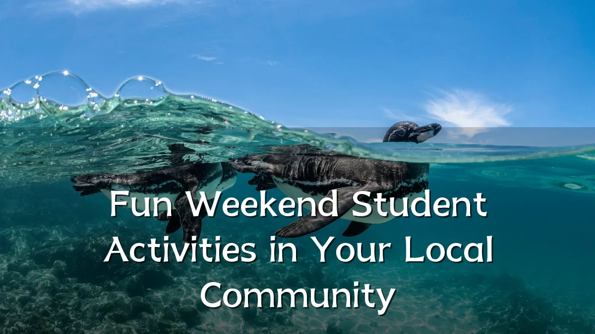 Fun Weekend Student Activities in Your Local Community
