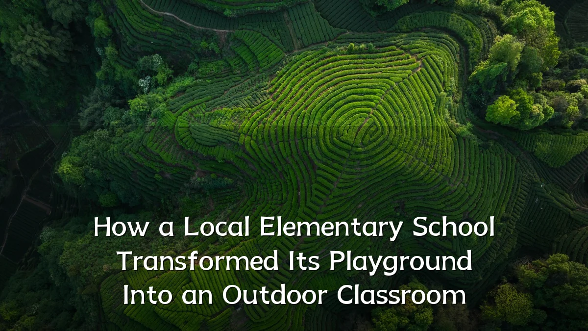 How a Local Elementary School Transformed Its Playground Into an Outdoor Classroom