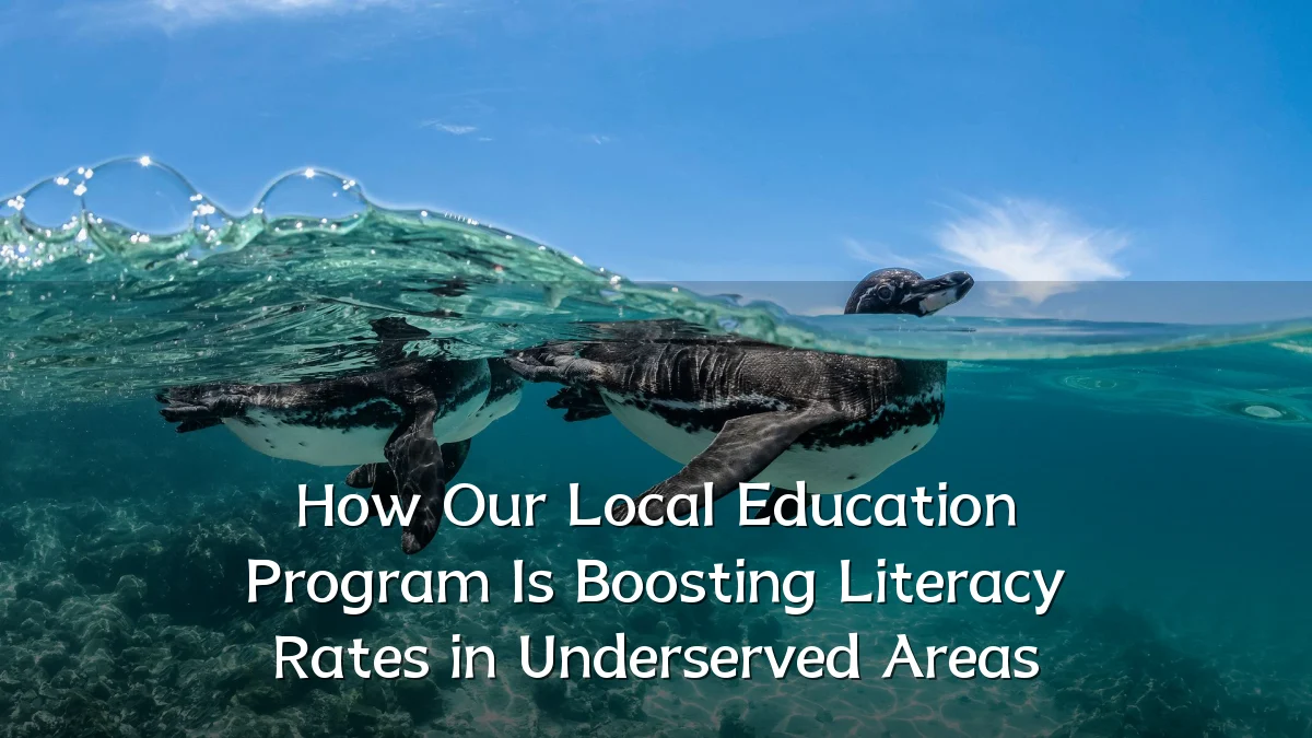 How Our Local Education Program Is Boosting Literacy Rates in Underserved Areas