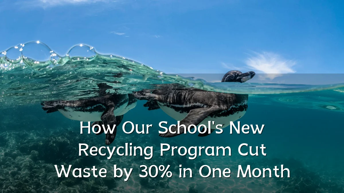 How Our School's New Recycling Program Cut Waste by 30% in One Month