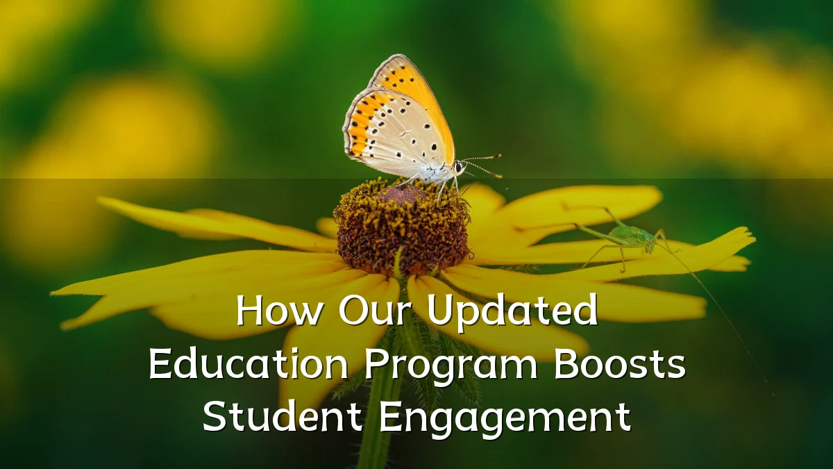 How Our Updated Education Program Boosts Student Engagement