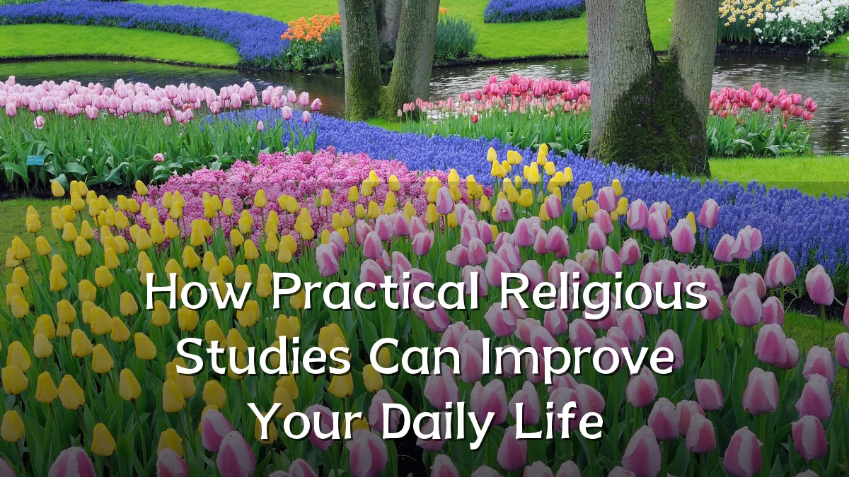 How Practical Religious Studies Can Improve Your Daily Life