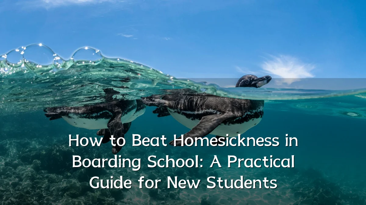 How to Beat Homesickness in Boarding School: A Practical Guide for New Students