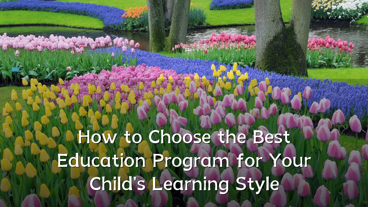 How to Choose the Best Education Program for Your Child's Learning Style