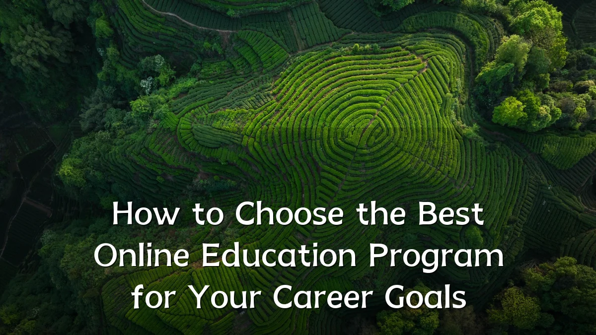 How to Choose the Best Online Education Program for Your Career Goals