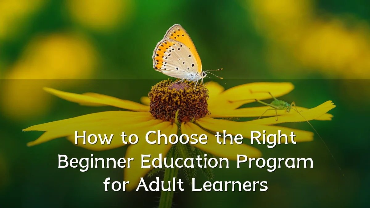 How to Choose the Right Beginner Education Program for Adult Learners