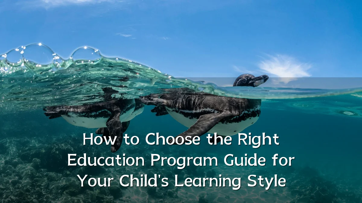 How to Choose the Right Education Program Guide for Your Child's Learning Style