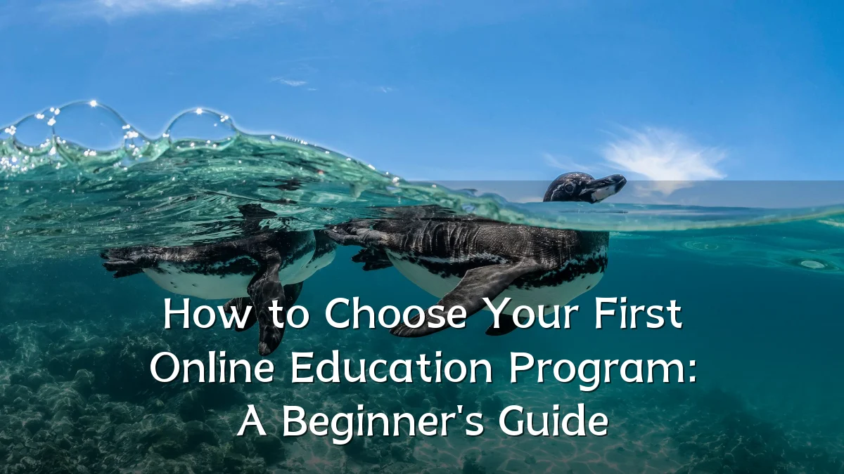 How to Choose Your First Online Education Program: A Beginner's Guide
