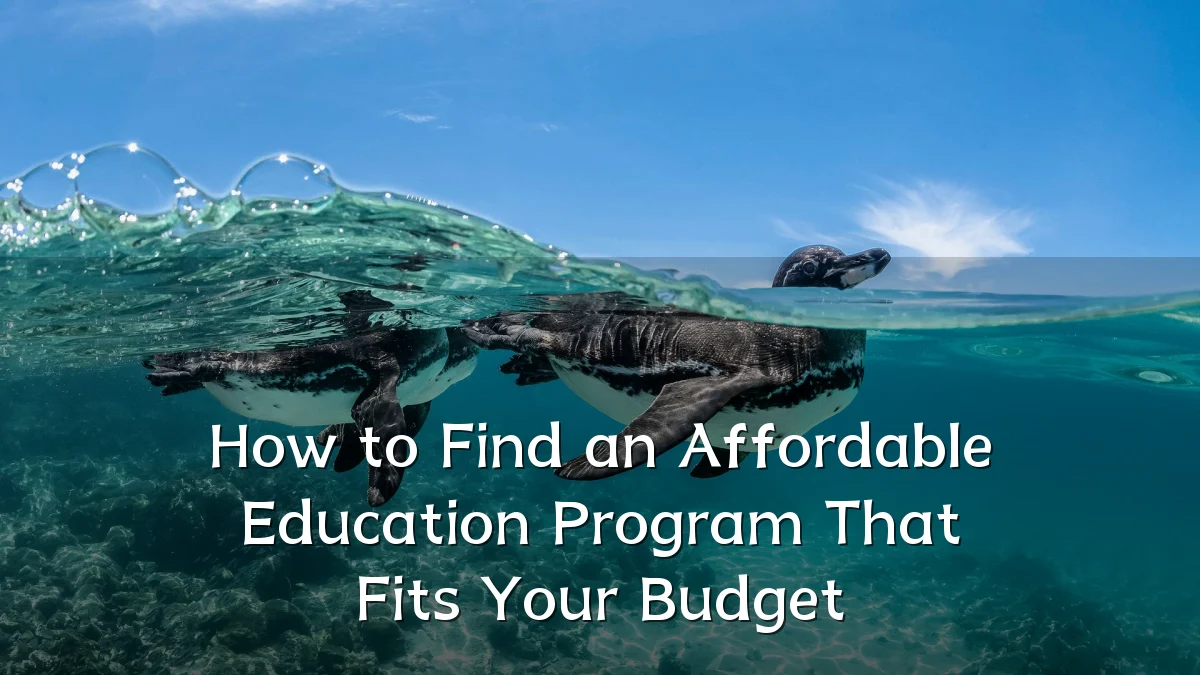 How to Find an Affordable Education Program That Fits Your Budget