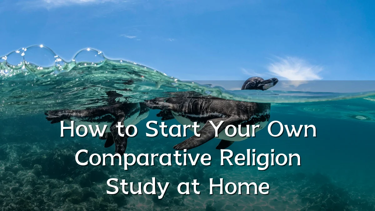 How to Start Your Own Comparative Religion Study at Home