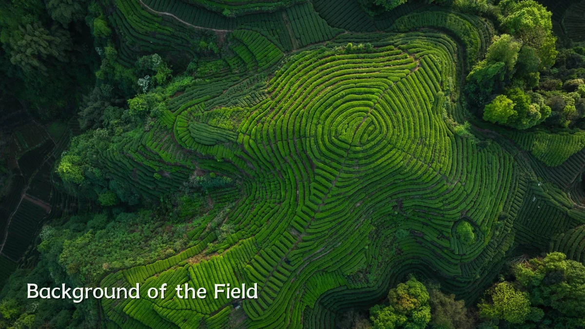 Background of the Field