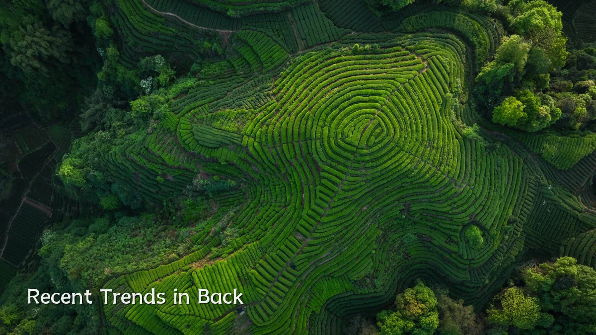 Recent Trends in Back