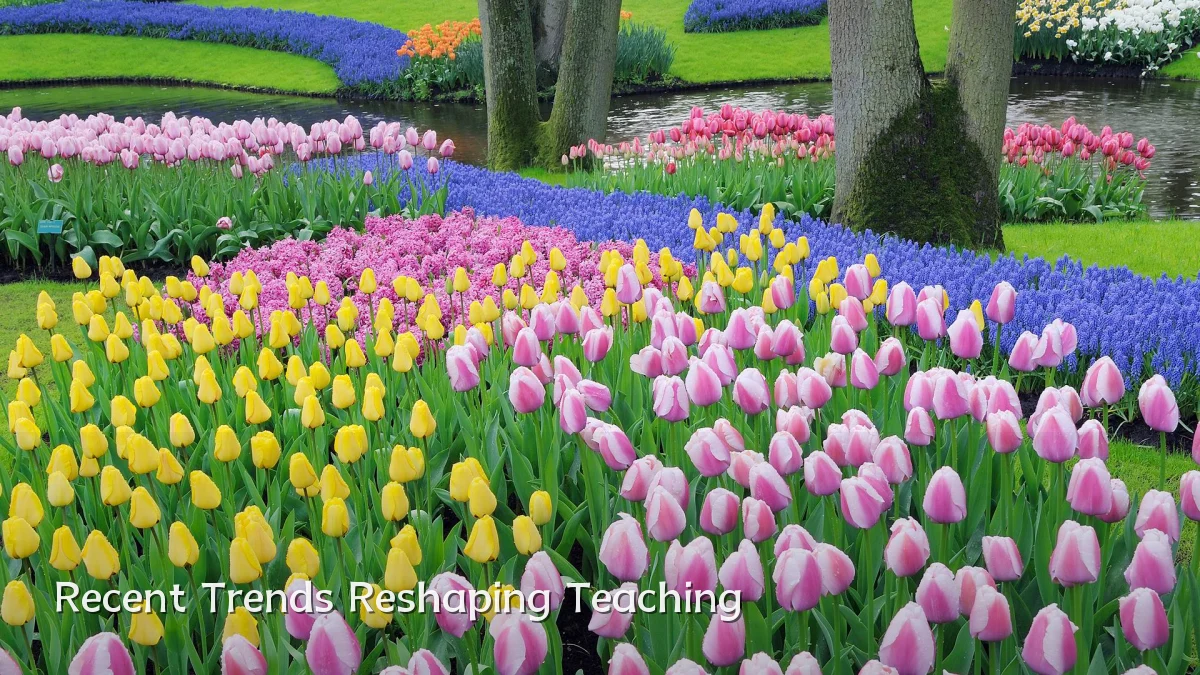 Recent Trends Reshaping Teaching