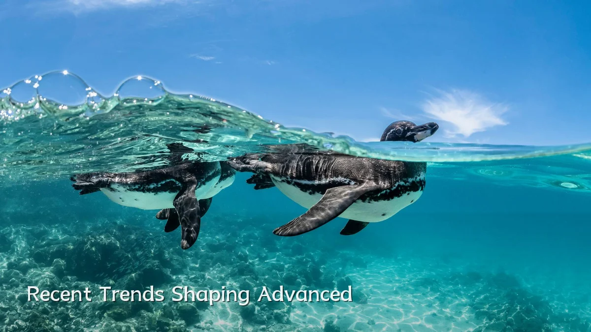 Recent Trends Shaping Advanced