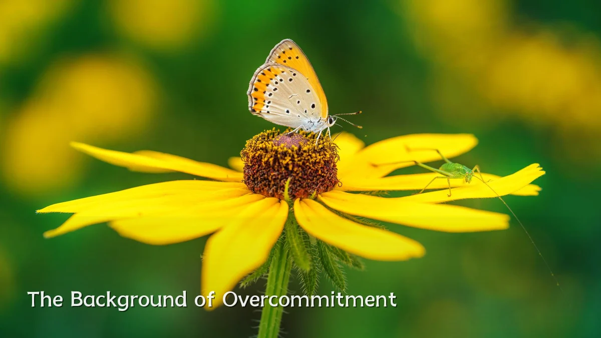 The Background of Overcommitment