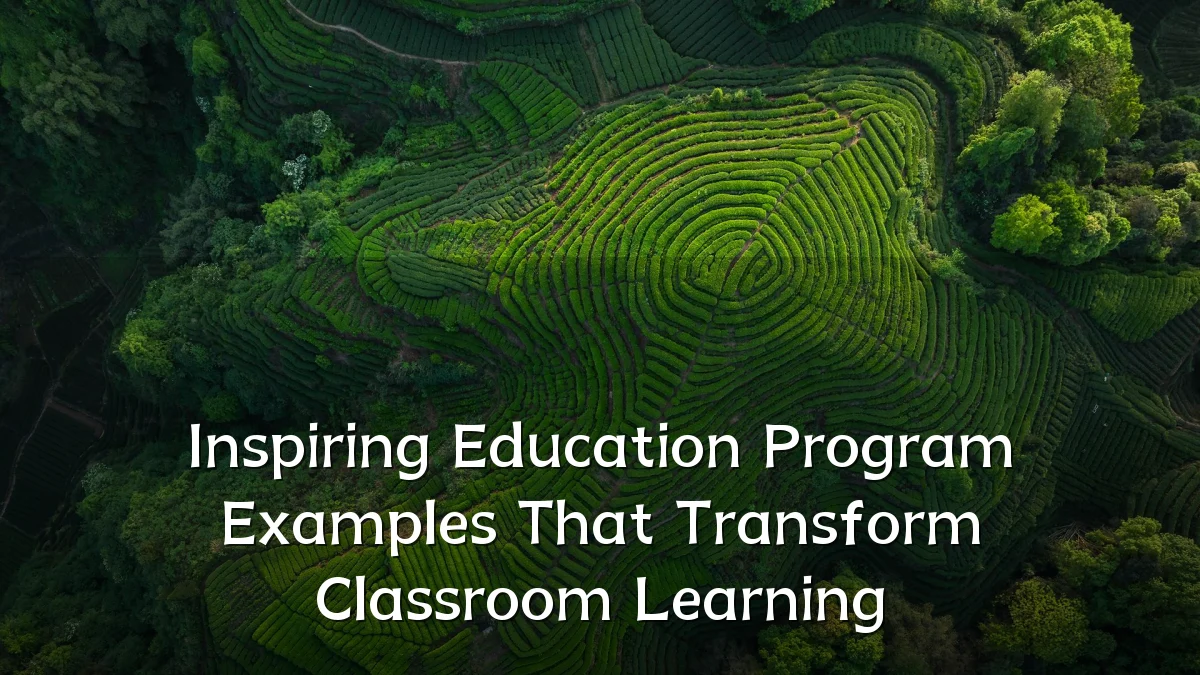Inspiring Education Program Examples That Transform Classroom Learning
