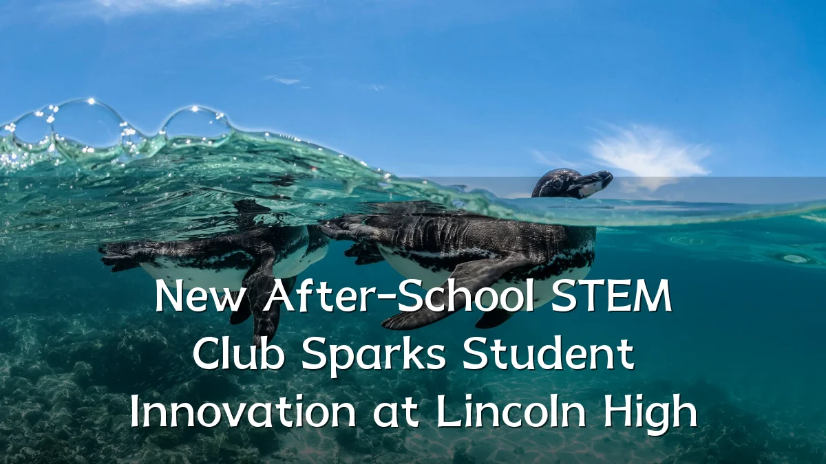 New After-School STEM Club Sparks Student Innovation at Lincoln High