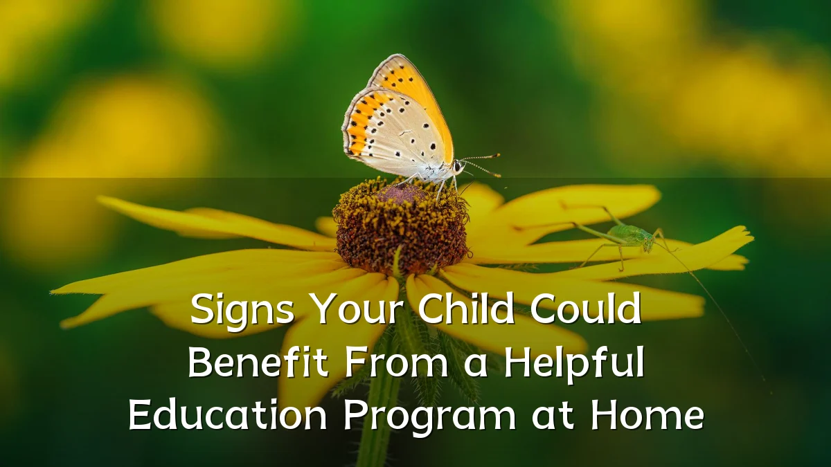 Signs Your Child Could Benefit From a Helpful Education Program at Home