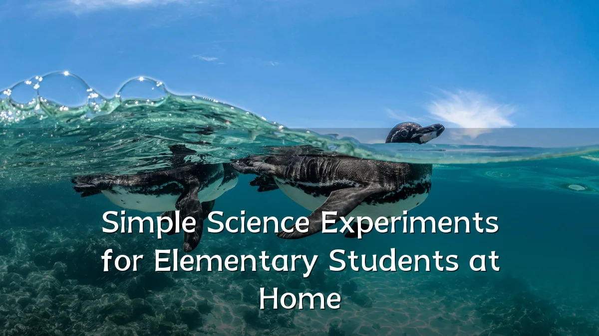 Simple Science Experiments for Elementary Students at Home