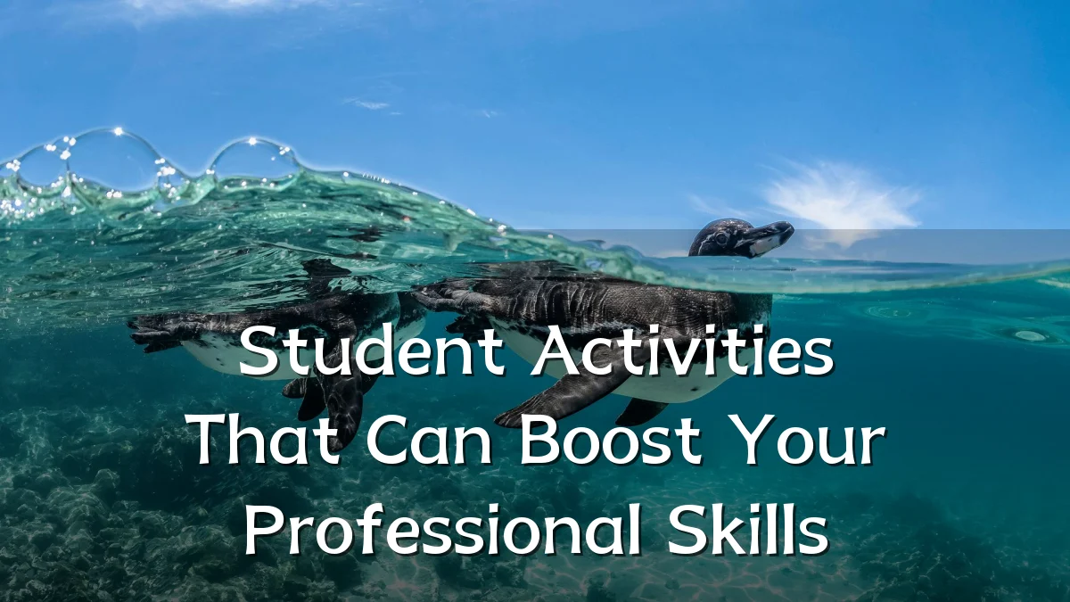Student Activities That Can Boost Your Professional Skills