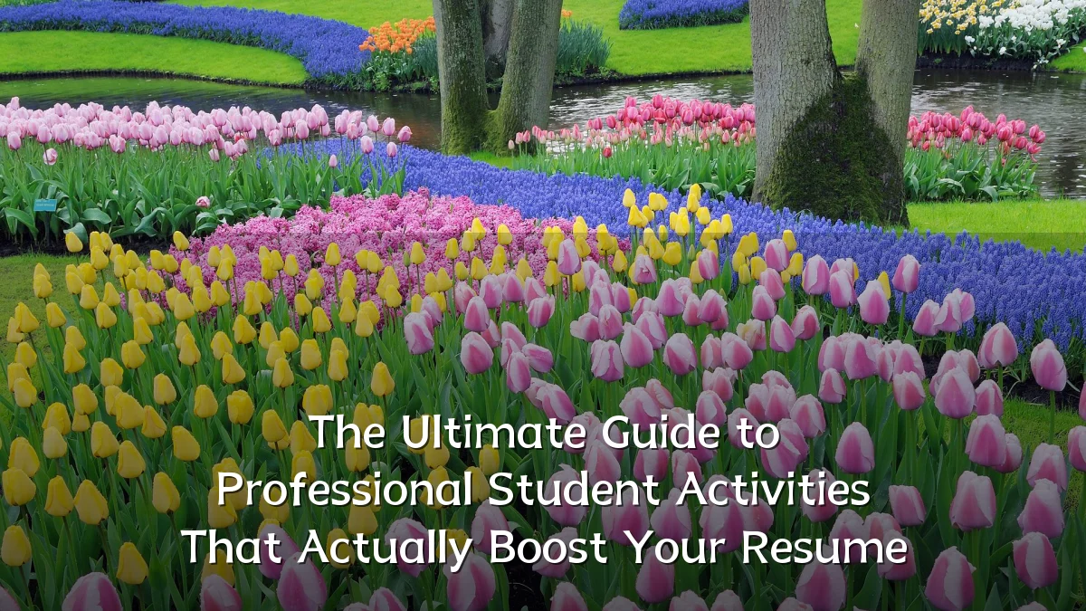 The Ultimate Guide to Professional Student Activities That Actually Boost Your Resume
