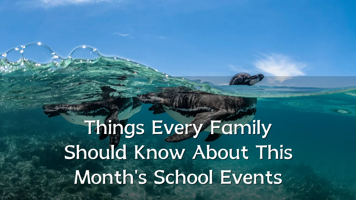 Things Every Family Should Know About This Month's School Events