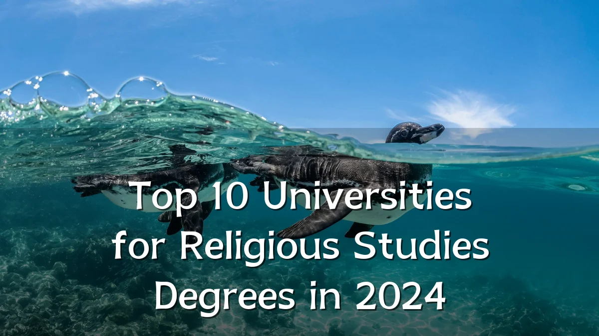 Top 10 Universities for Religious Studies Degrees in 2024
