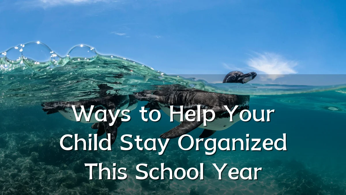 Ways to Help Your Child Stay Organized This School Year
